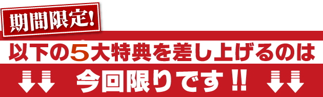 日経２２５先物　完全自動売買プログラム【 ウルトラリベロ 】　期間限定！以下の５大特典を差し上げるのは今回限りです！！