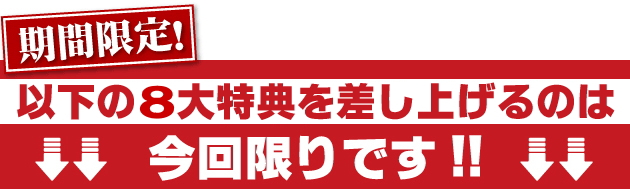 日経２２５先物　完全自動売買プログラム【 ウルトラリベロ 】　期間限定！以下の８大特典を差し上げるのは今回限りです！！