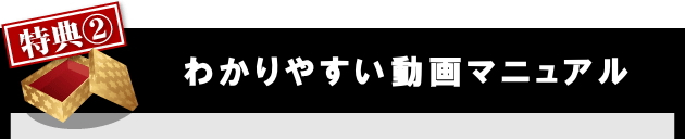 日経２２５先物　完全自動売買プログラム ウルトラリベロ 　特典２全てのマニュアルを動画で確認できます。