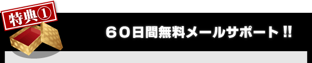 日経２２５先物　完全自動売買プログラム【 ウルトラリベロ 】　特典１６０日間無料メールサポート