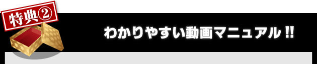 日経２２５先物　完全自動売買プログラム ウルトラリベロ 　特典２全てのマニュアルを動画で確認できます。